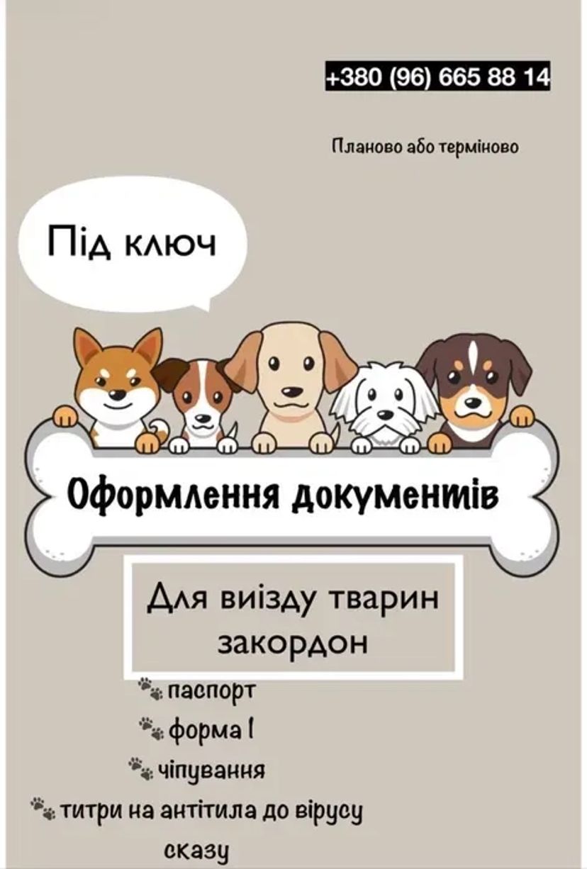Документи для тварин. Титри. Ветеринарні документи. Паспорт для тварин