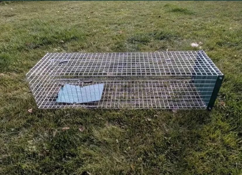 Котоловка, пастка, клітка для відлову котів, живоловка, ловушка