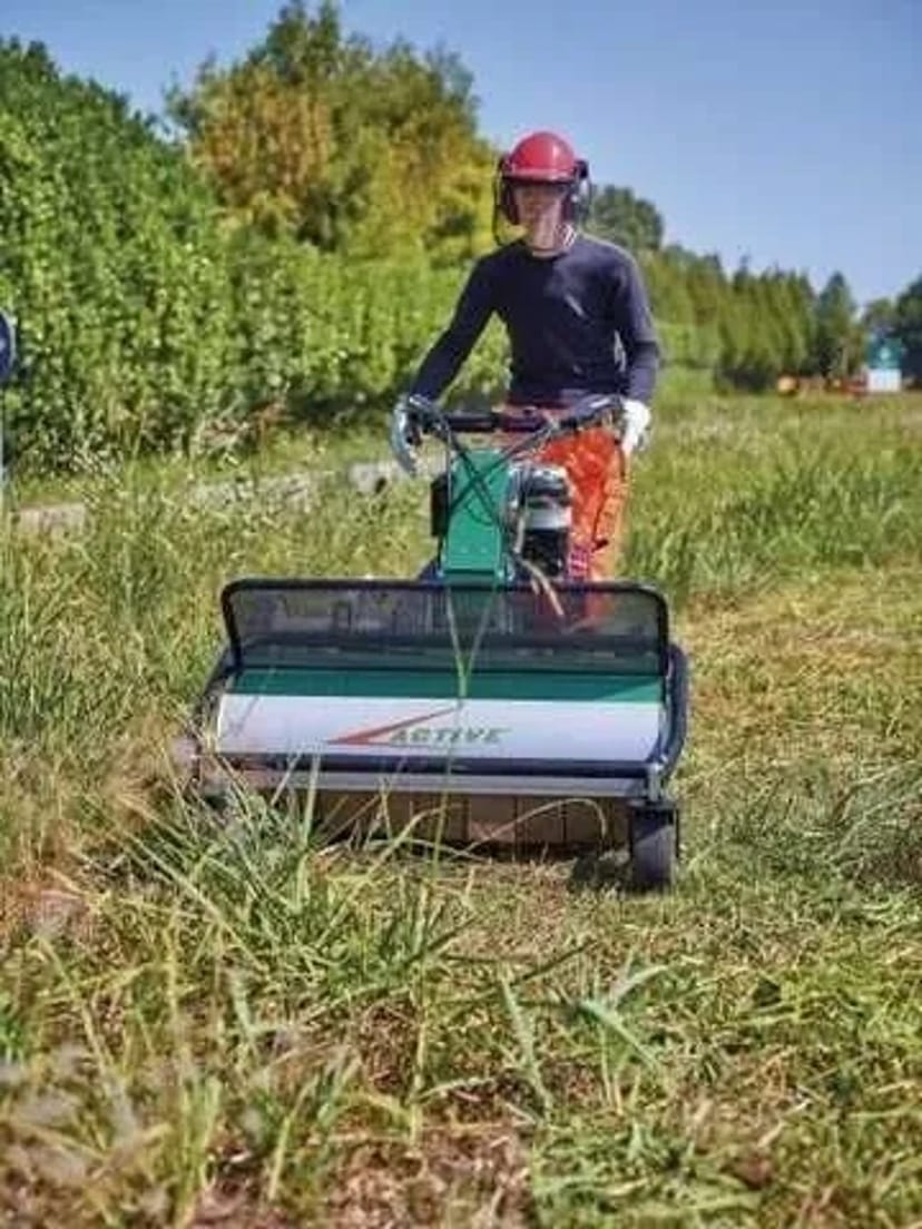 Скіс високої трави, покіс бур'яну, будь-якої складності, висота не має значення