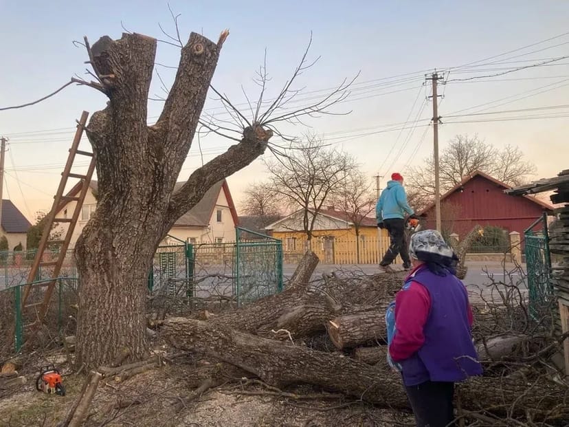 Чистка саду, обрізка дерев, чагарників.