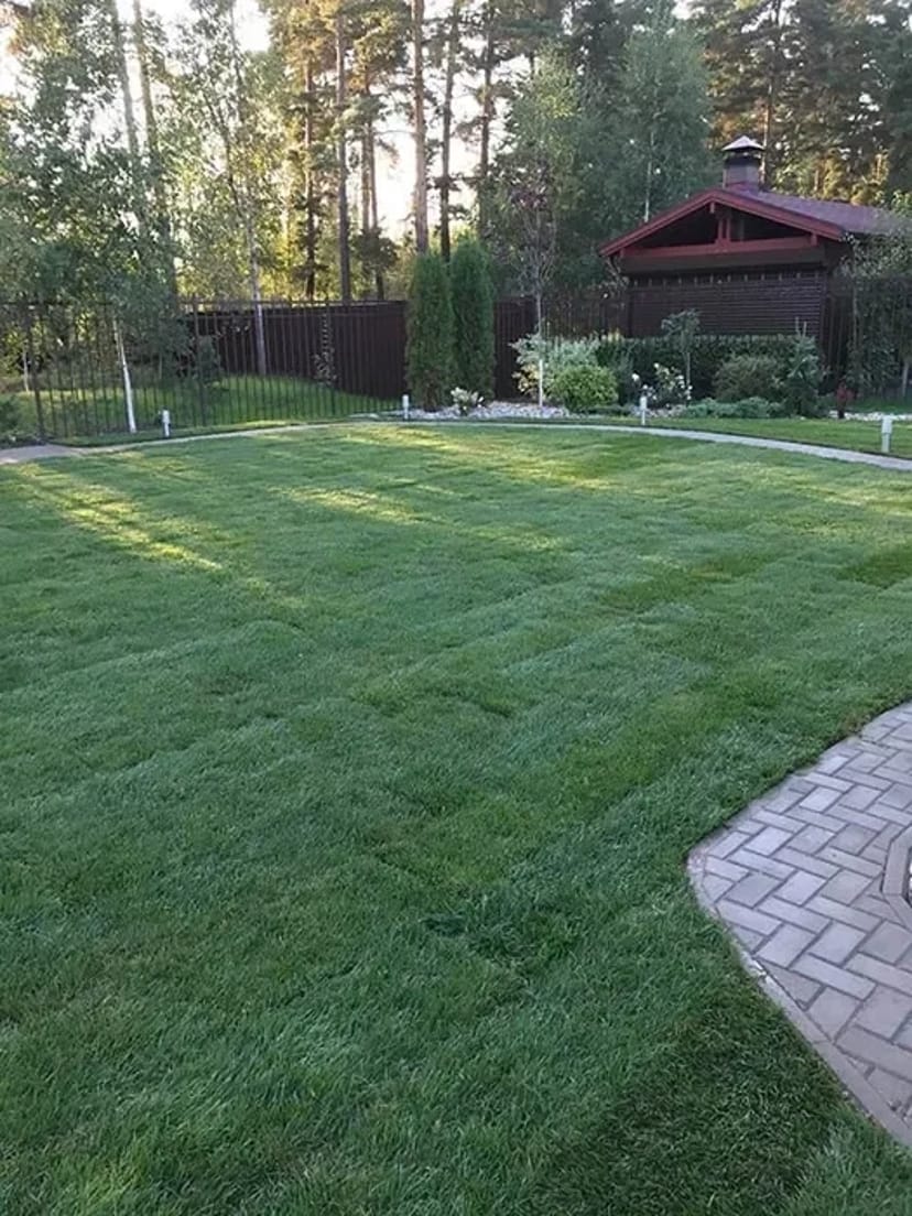 Стрижка газону (покіс трави)