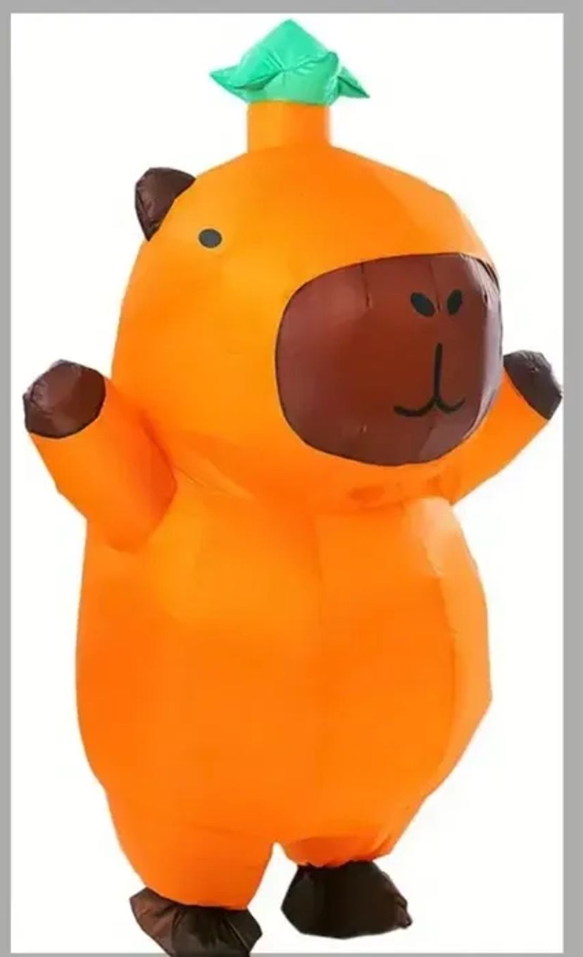 Яскравий надувний костюм капібари