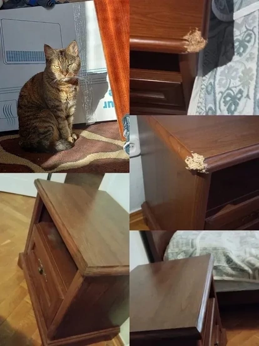 Реставрація і ремонт Дверей, Вікон та Меблів. Професійний підхід - низькі ціни!