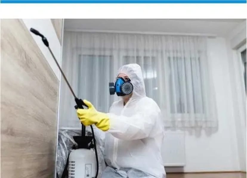 Ефективна травля тарганів у квартирах, будинках та приміщеннях