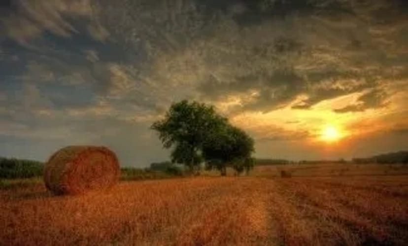 Прес-підбирач для тюкування сіна та соломи (круглі й квадратні тюки)