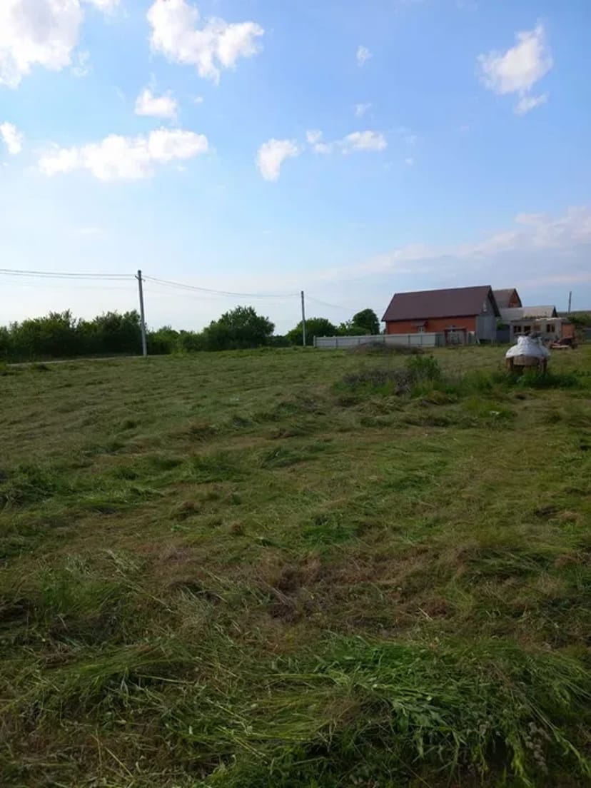 Покос, прибирання участків. Від 250₴ за 100 кв. м