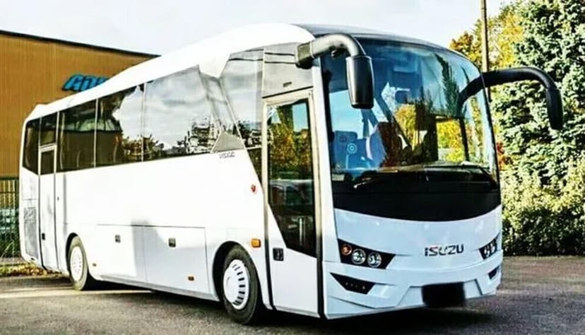 364 Автобус на весілля Isuzu білий 37 місць