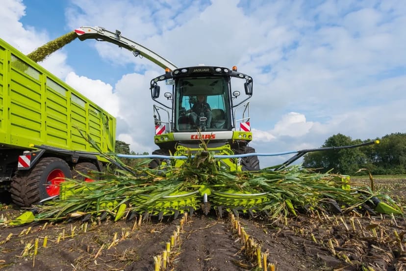 Кормозбиральний комбайн Claas Jaguar 900