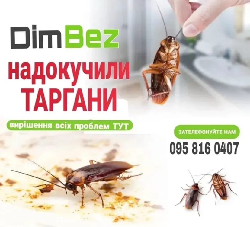 Знищення шкідників, професійна дезінсекція. Комплексний підхід.
