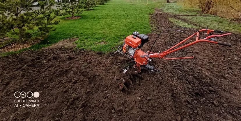 Посів газону під ключ