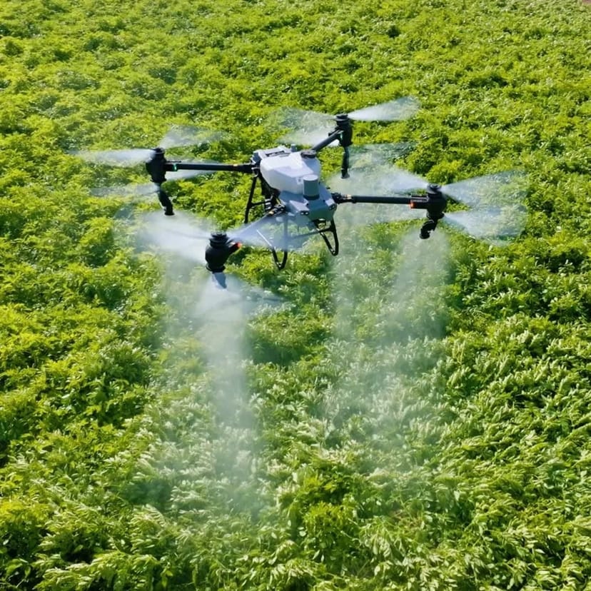 Агродрон DJI Agras T50 — сучасна агрообробка сільгоспполів