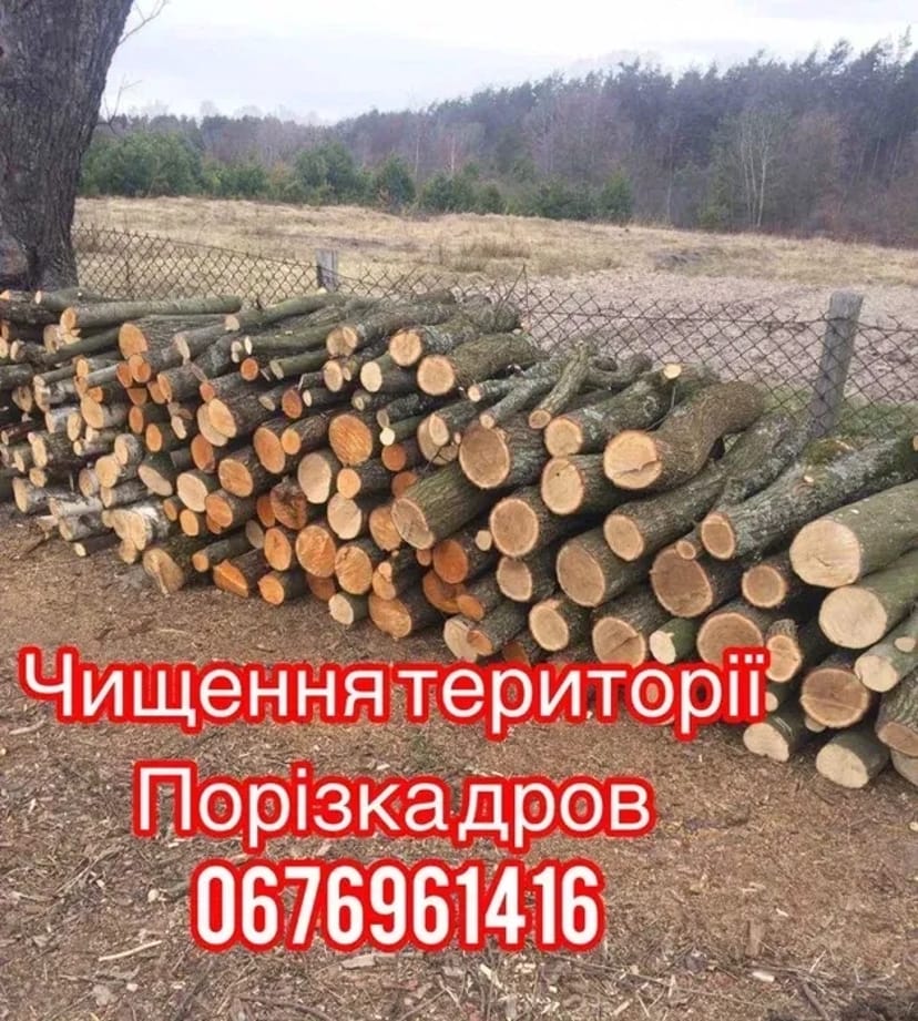 Послуги з порізки дров та професійного розчищення території від сухостою та гілок