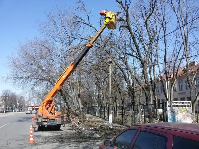 Спил складних дерев з автовишкою