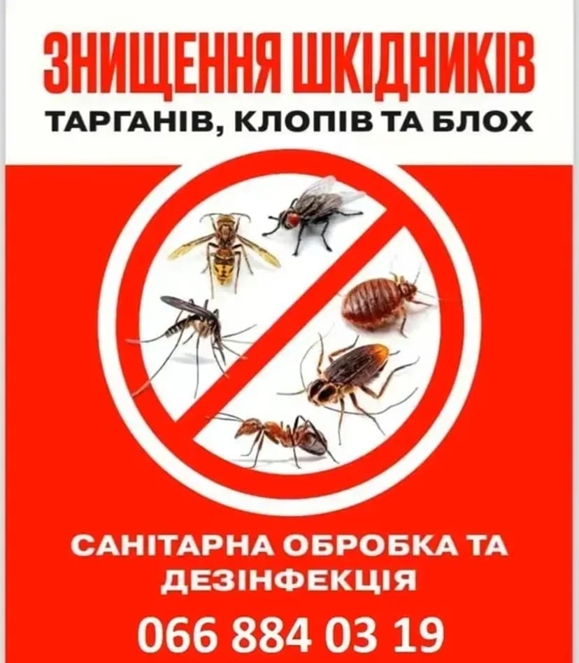 Знищення тарганів в кафе у магазинах по барах сушах та у квартирах.