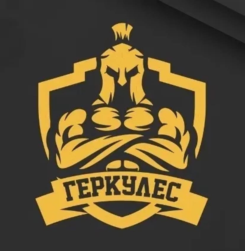 Силова Охорона у Дніпрі. Надаємо послугу охорону від мародерів.