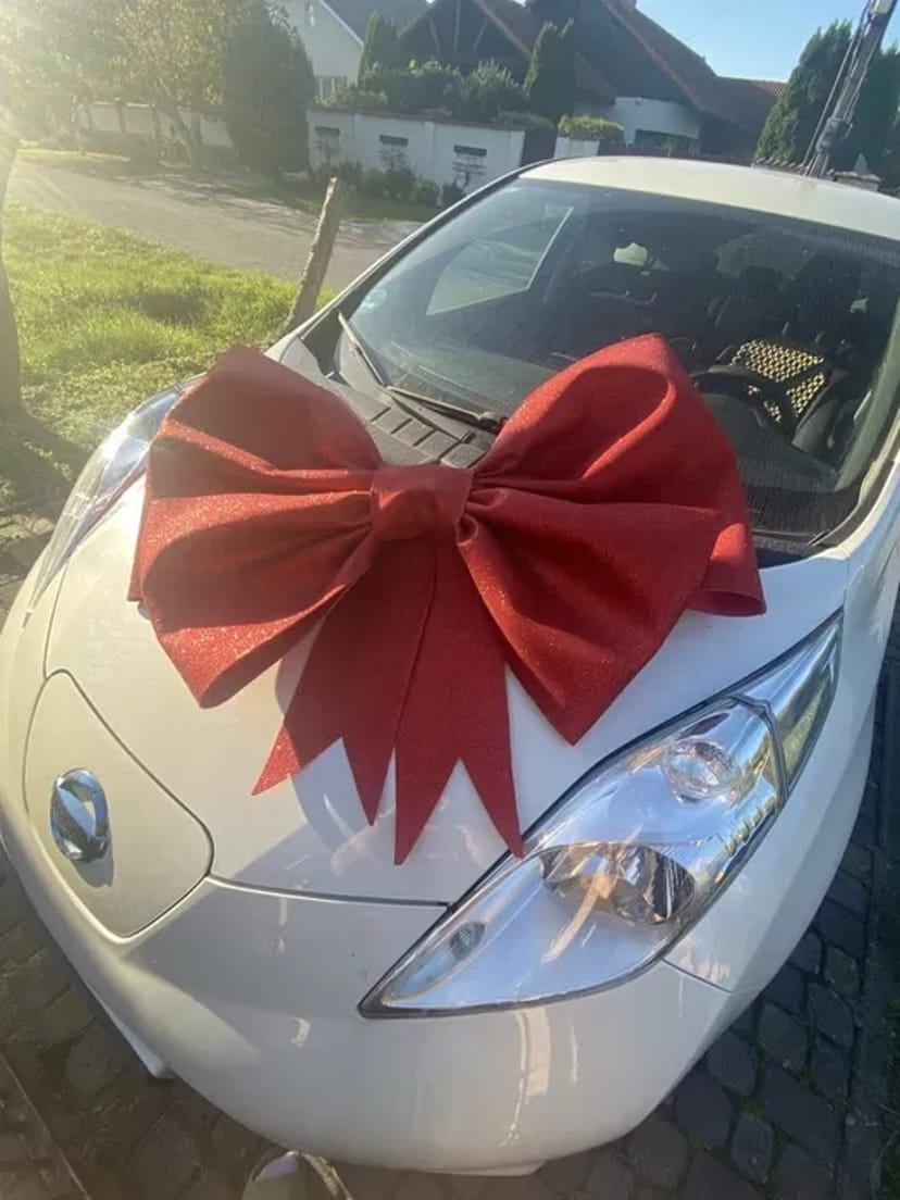 Величезний бант на авто