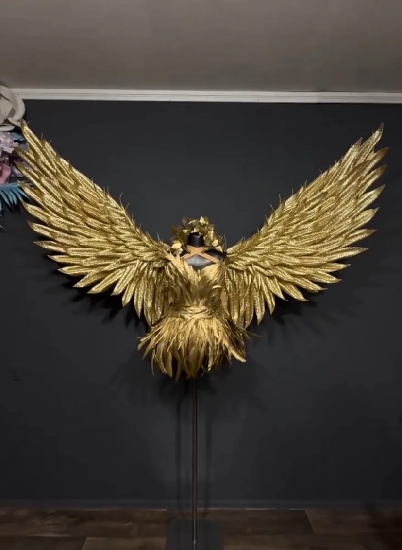 Крила янгола, крила феї, святкування, дня народження.