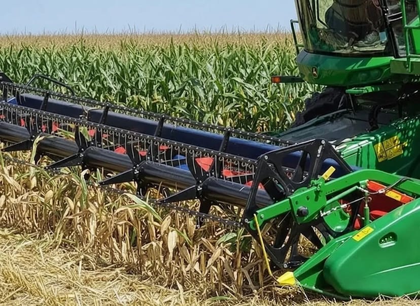 Жниварка: швидкий і точний збір врожаю будь-яких культур