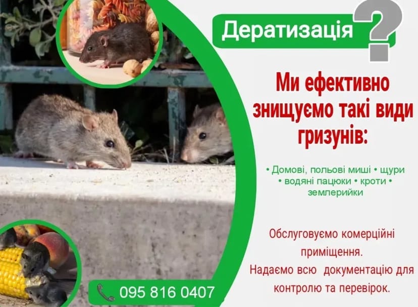 Ефективне знищеня та контроль гризунів. Професійна Дератизація.