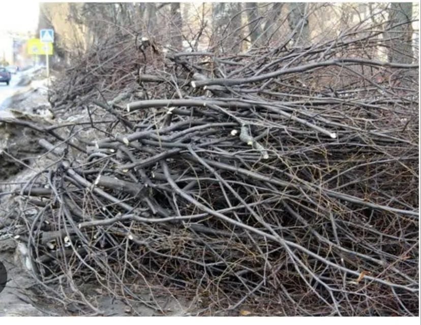 Надаємо послуги подрібнення гілля та дерев у щепу швидко та акуратно