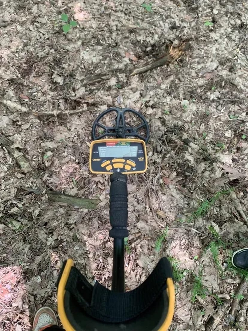 Металошукач GARRETT ACE 300i