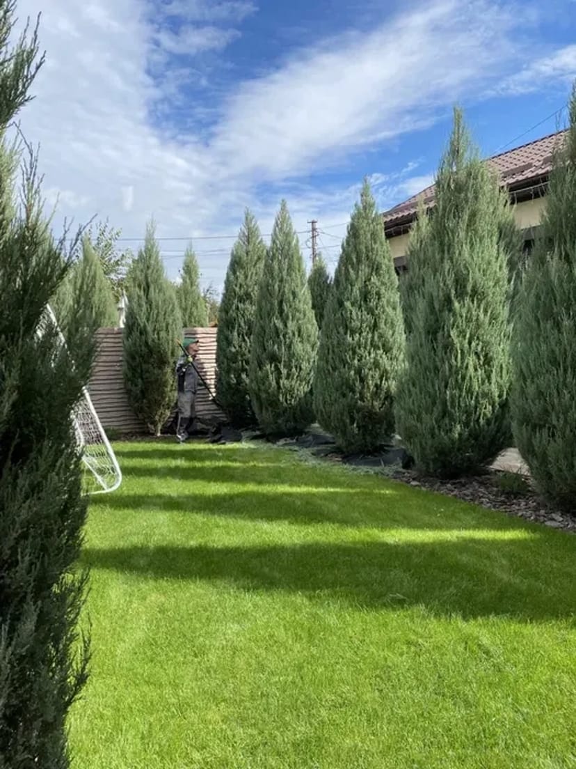 Садівник Ландшафт та озеленення Газон Обробка Посадка