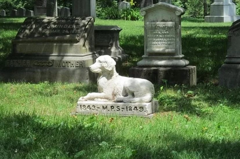 Кремація та поховання тварин