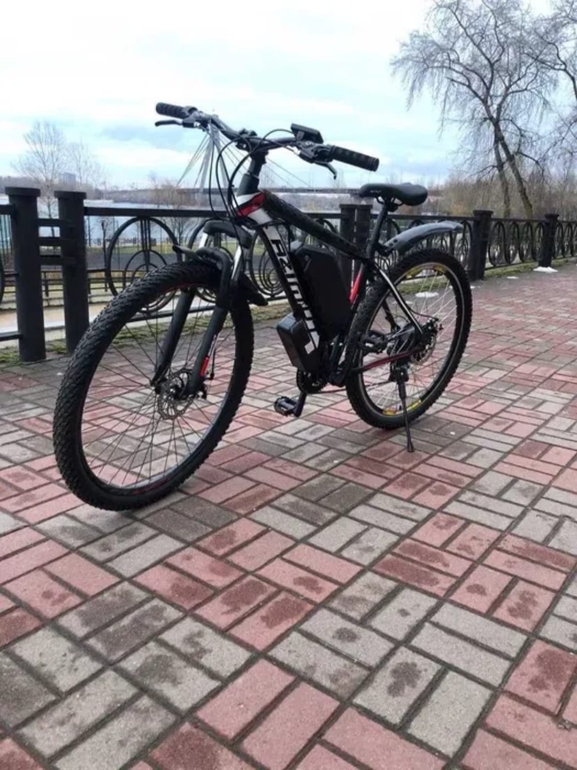 Електровелосипед 1200 гривень тиждень