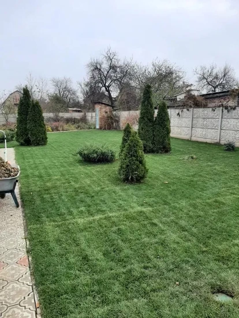 Ландшафтний дизайн/аерація/газон/рокарій/