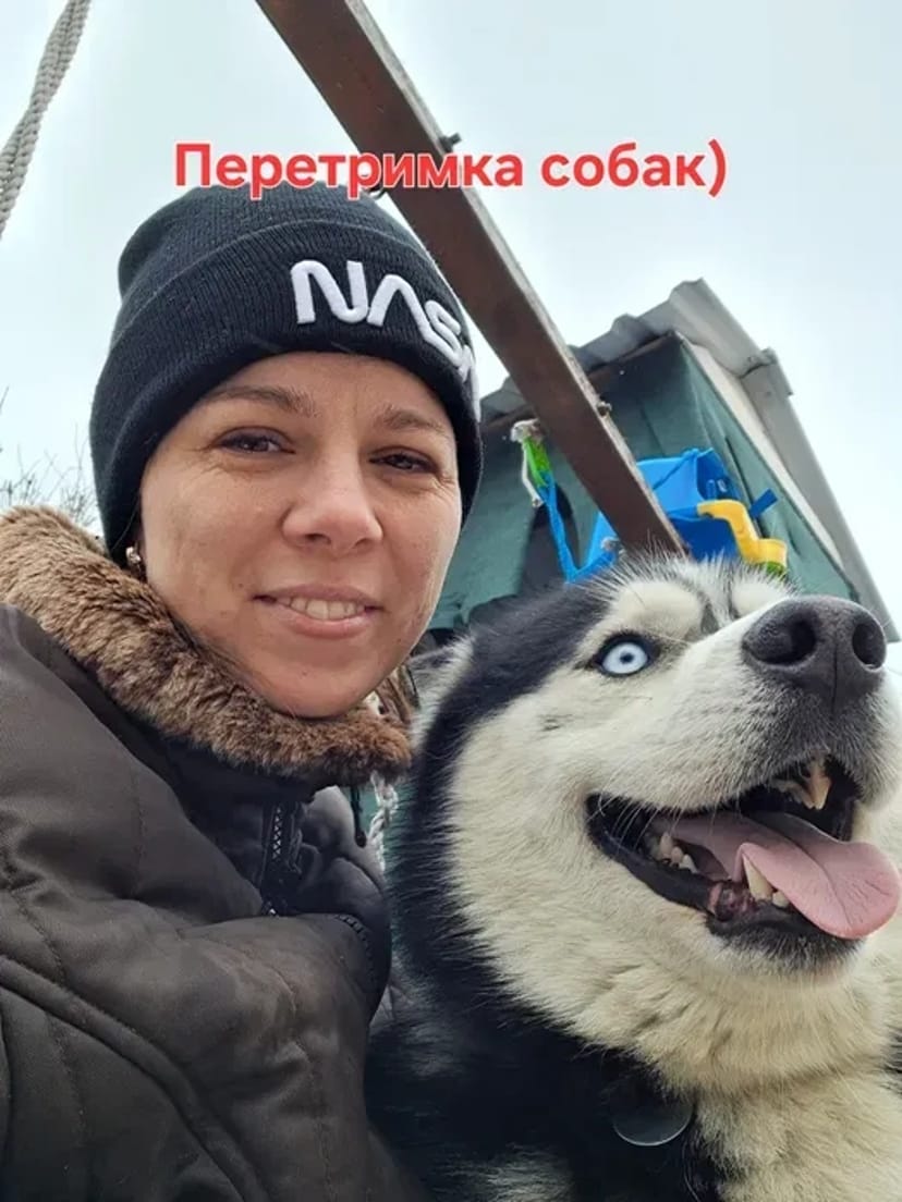 Перетримка собак .Чудові умови , дбайливе ставлення. Хороше харчування