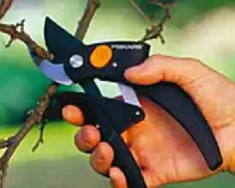 Догляд за садом