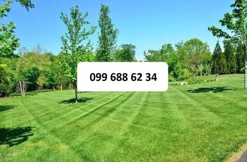 Рулонний газон, автополив, проект, монтаж, ландшафтний дизайн, садівник.