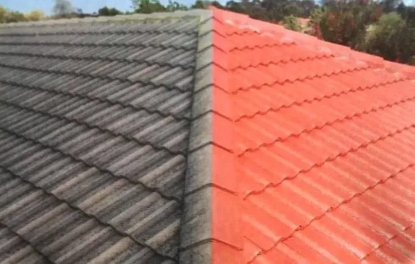 Миття та фарбування даху, фасаду, конструкцій Львів