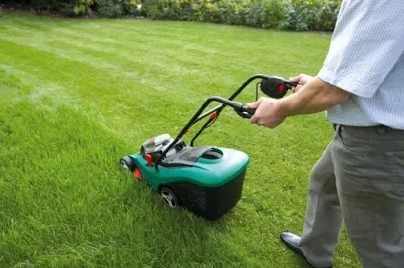 Садівник Газон Обрізка Обробка Озеленення ділянки Ландшафтний дизайн