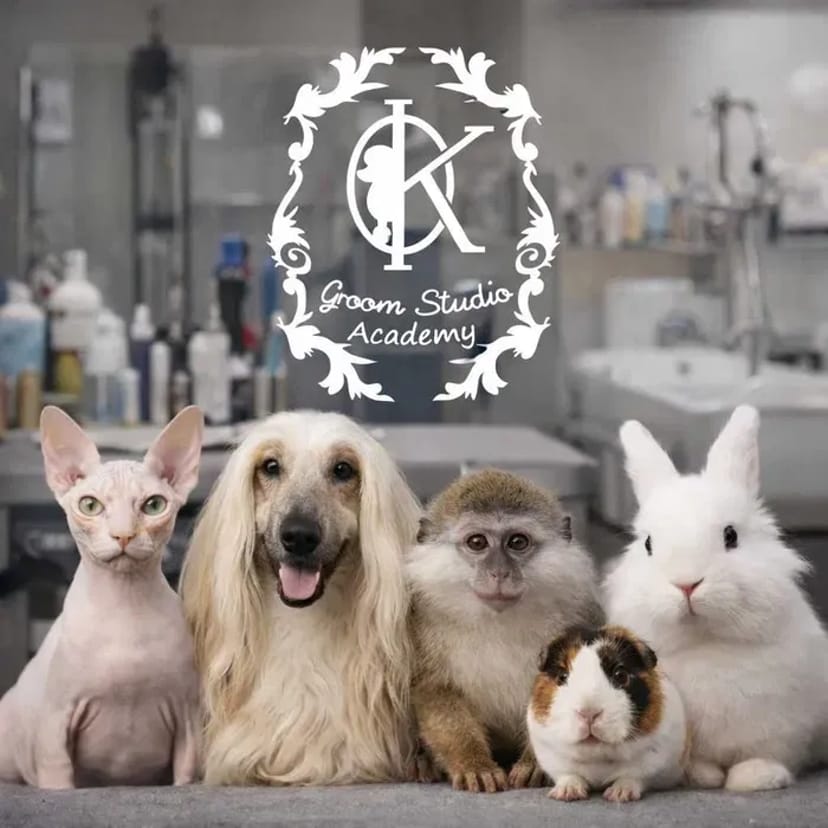 Грумінг декоративних тварин | професійний догляд