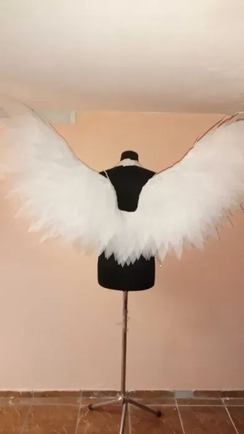 Крила янгола, крила метелика