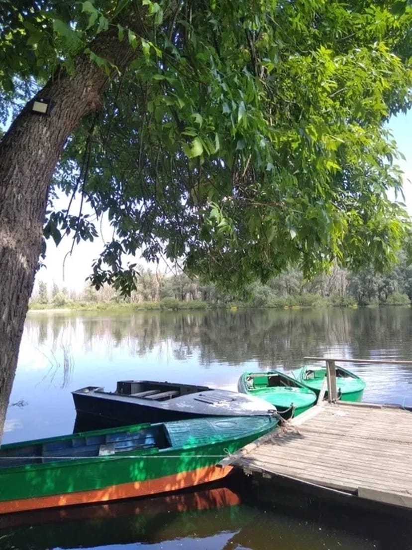 Човни та двигуни