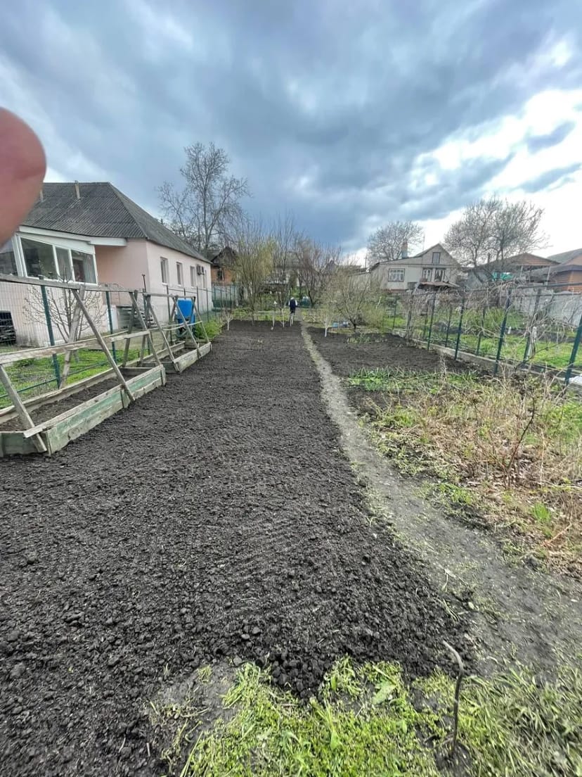 Спил Дерев, Покос, Чистка від Порослі та камишу, Вирівнювання ділянок