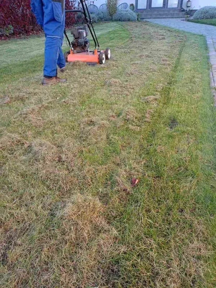 Скарифікація та аерація газону, вичісування старої трави мохів