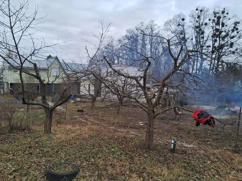Спил та обрізка дерев , Покос трави,будь-якої складності
