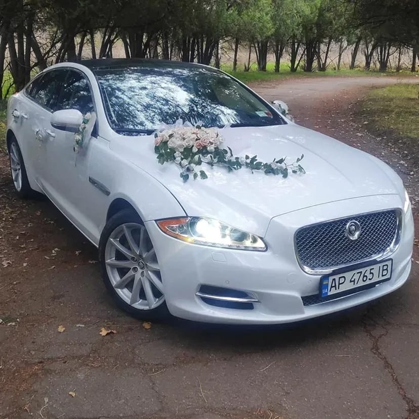 Jaguar XJ, весільне авто, автомобіль на весілля