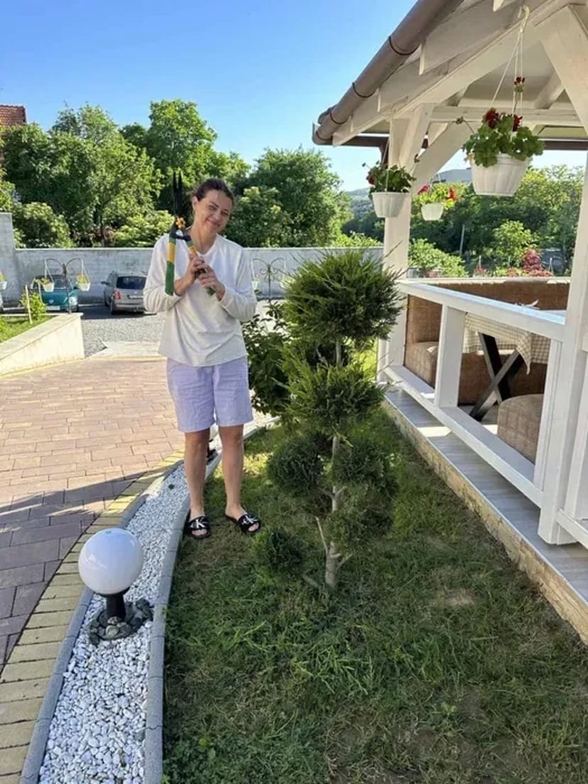 Фігурна стрижка, догляд та формування хвойних рослин