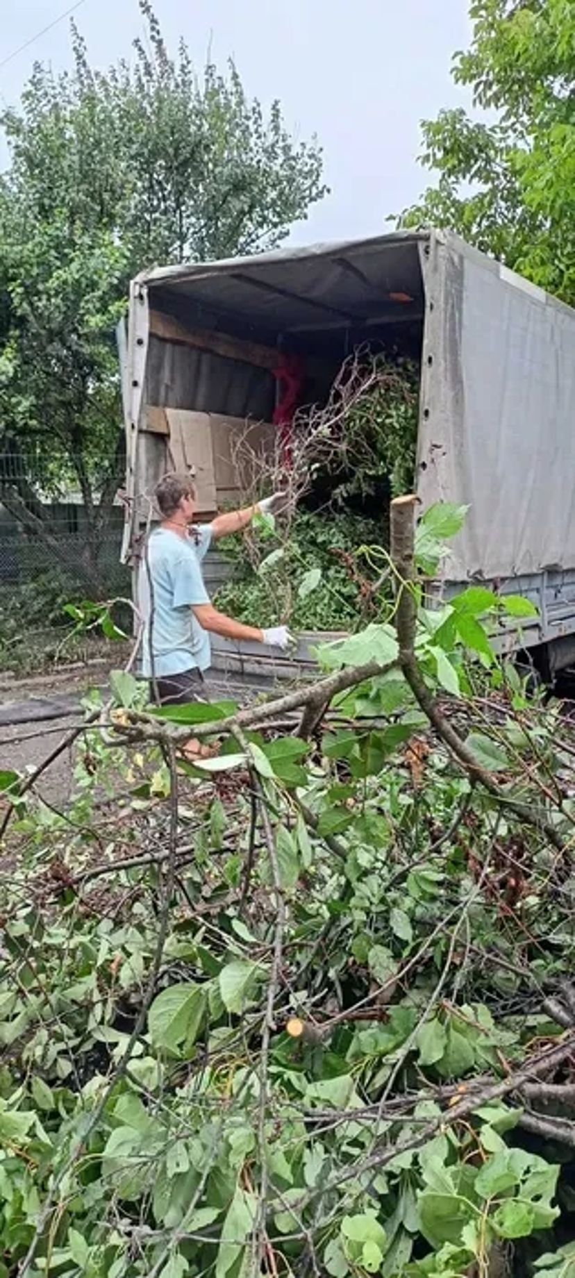 Вивіз гілок Газель, Камаз, Вивіз меблів, прибирання сміття