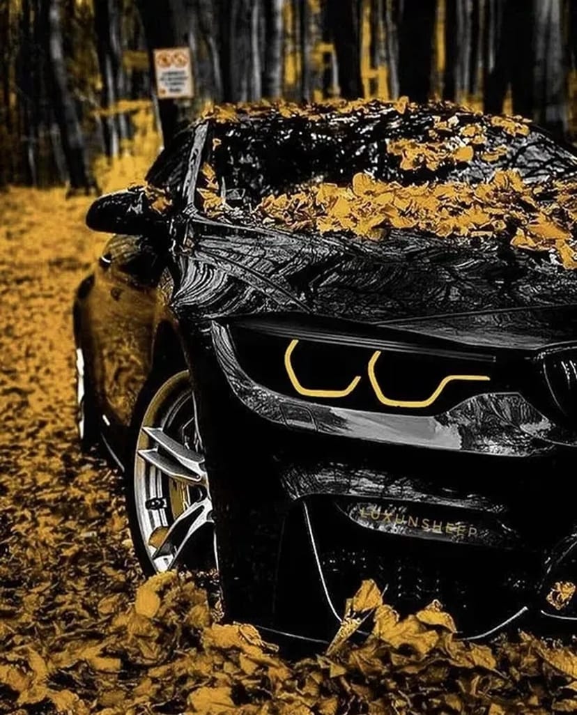 Надійний транспорт у Воловці: машина для будь-яких потреб