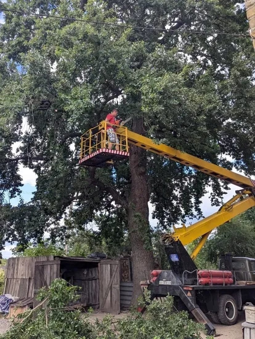 Надійні послуги автовишки. Телефонуйте!
