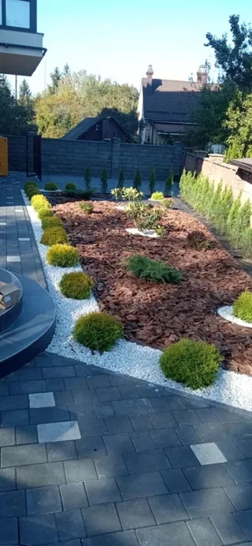 Послуги з скарифікації (вичісувння сухої трави) та аерація газону. Ціна від 7грн/м2