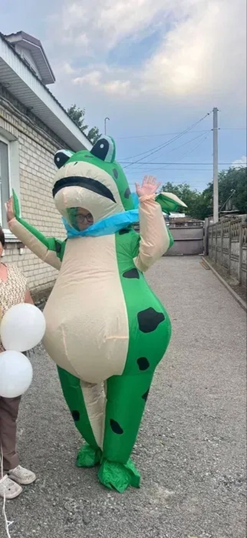 Яскравий костюм жаби