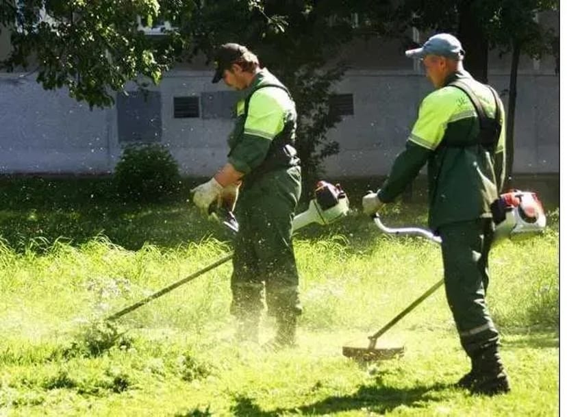 Косіння, Покіс трави, чистка ділянок, спилювання дерев.