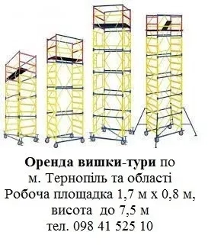 Вишка Тура професійна